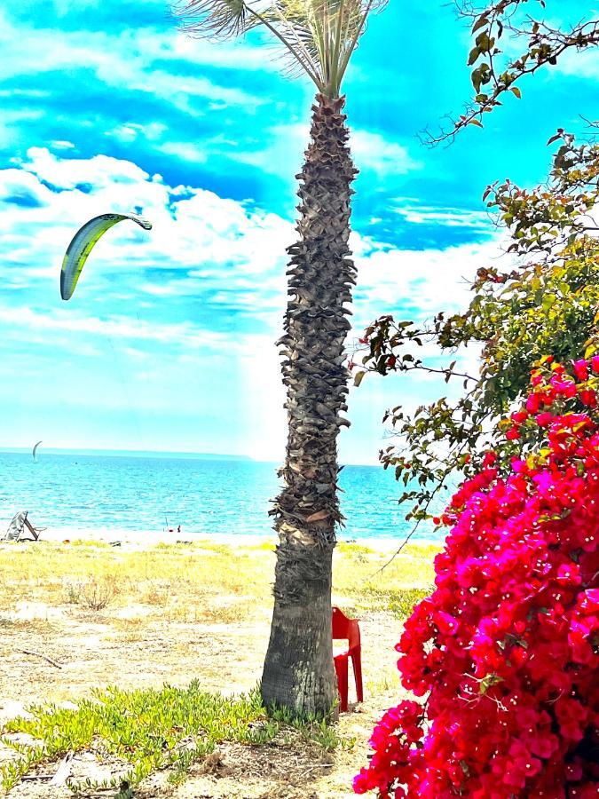 Windsurf Beach Front Torre Grande Eksteriør bilde